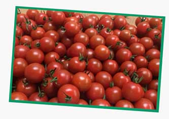 Cherry tomatoes