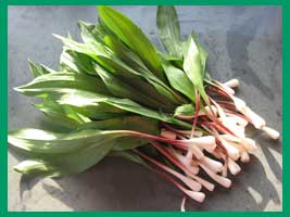 ramps